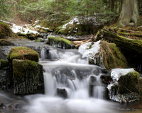 Cedar Creek I