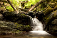Canyon Creek 4